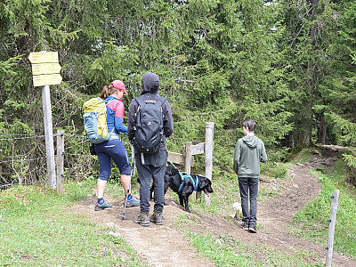 Wir passieren ein Gatter. Der Weg nach Tegernsee ist immer gut beschildert.