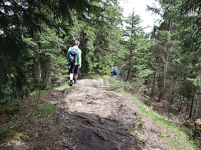 Zunächst gemächlich, ... 