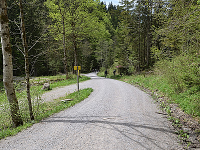 ... bis wir den Alpbach erreichen.