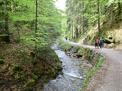 Entlang des Alpbachs... 