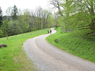 Am Auerweg halten wir uns links und wandern ein Stück auf der Schotterstraße