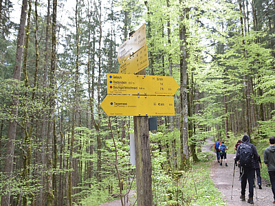 Hier halten wir uns wieder rechts, weiter Richtung Riedersteinhaus und Galaun