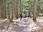 Vor dem Rohrkopf gibt es eine Einsattelung, wir wandern geradeaus weiter