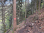 Die Route ist bestens markiert