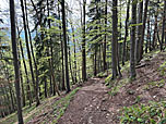 ...und folgen dem Kreuzweg...