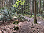 ...und gelangen zu einem Querweg