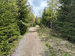 ...und lichten Bergwald