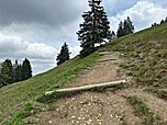 ...und folgen dem breiten Wanderweg steil hinauf...