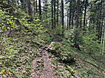 ...an der Westseite des Kreuzbergköpfls vorbei