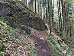 ...verbuchen wir am Waldpfad...