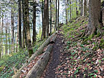 ...zügig Höhenmeter auf der Habenseite