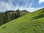 Blick zum Gipfel der Baumgartenschneid
