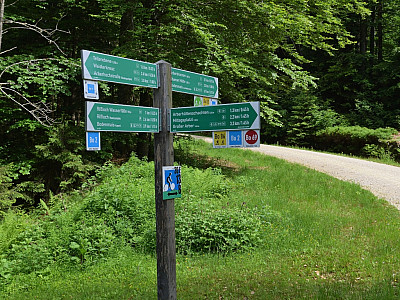 Über die Forststraße geht es weiter zum Mittagsplatzl