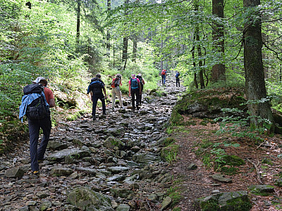 Der Weg ist recht steinig