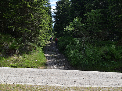 Ein letztes Mal queren wir die Straße