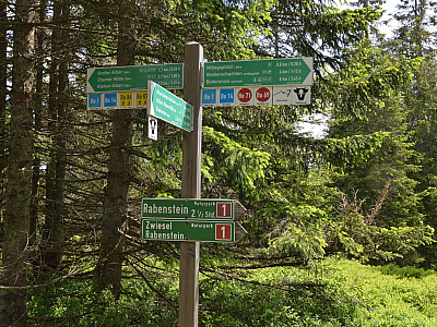 Hier startet nach rechts unsere Exkursion zum Mittagsplatzl