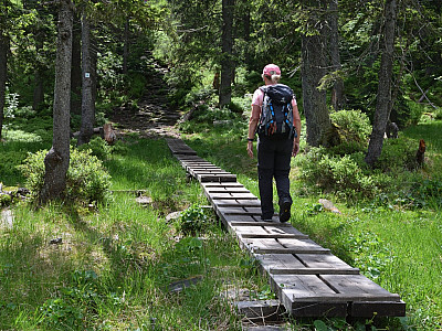 Holzdielen erleichtern uns einen kleinen Sumpf zu passieren