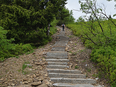 Zahlreich Stufen führen uns die letzten Höhenmeter zum Gipfel hinauf