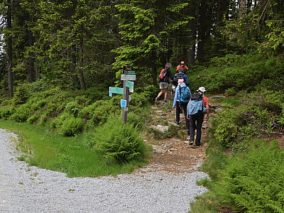 Schon bald zweigt nach rechts ein kleiner Pfad ab