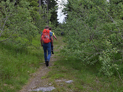 Wir halten uns an einem Abzweig links und wandern wieder nach Osten Richtung Chamer Hütte
