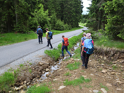 Wir erreichen eine geteerte Straße, der wir ein Stück nach rechts folgen