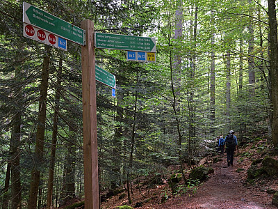Hier halten wir uns links um zu den Wasserfällen zu gelangen