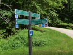 Über die Forststraße geht es weiter zum Mittagsplatzl