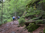 Moosbedeckte Felsen prägen das  Riesloch