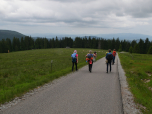 Am Ende der Almwiese halten wir uns links