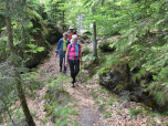 Wieder geht es an wunderschön mit Moos bewachsenen Steinen vorbei
