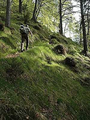 Aufstieg im Schatten