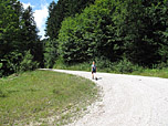 ...und wandern weiter über den Forstweg...