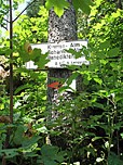Hier wählen wir den weg zur Krottenalm