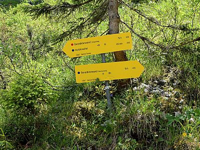 Hier biegen wir links ab und wählen somit den Ostanstieg