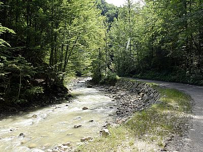 Der rauschende Lainbach