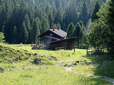 An der Hütte treffen wir auf eine Forststraße