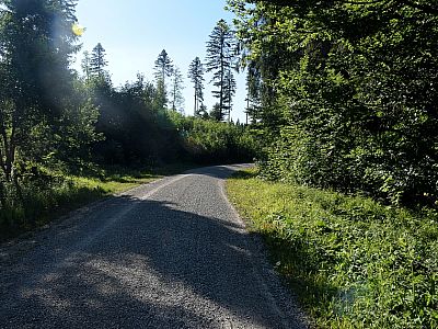 ... wechseln mit Abschnitten auf dem Fahrweg