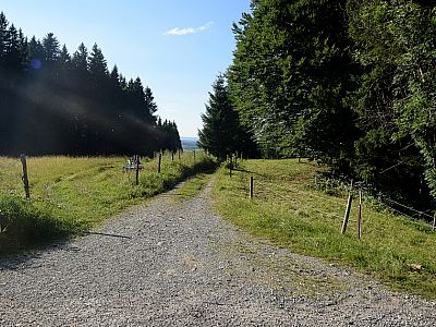 An Almwiesen vorbei...