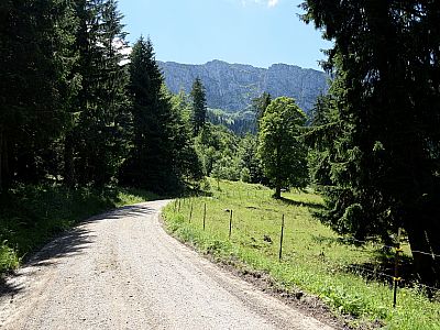 Die steilen Felsen der der Benediktenwand