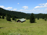 Die Weisen der Eibelsfleckalm