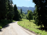 Die steilen Felsen der der Benediktenwand