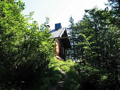 Hütte im Wald