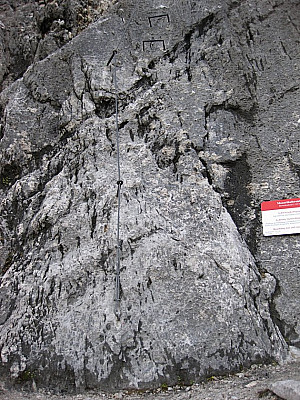 Einstieg zum Mauerläufersteig.