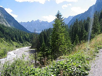 Durch's Johannisbachtal