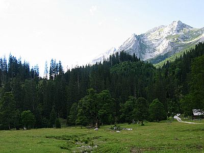 Der letzte Aufschwung...