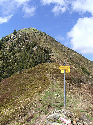 ...und zum Weißkopfkogel