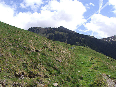 Weiter über Almwiesen