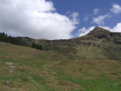 ...geht's weiter über Wiesen