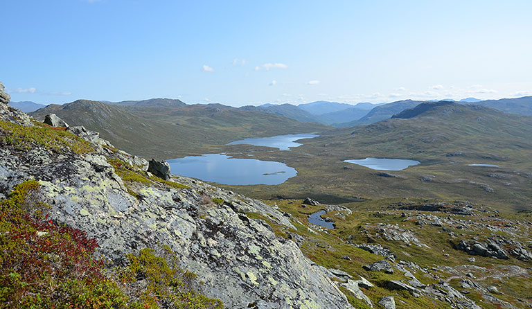 Bjøbergnøse (1468 m)