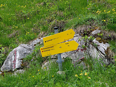 Wir bleiben auf dem Weg unterhalb des Risserkogel...